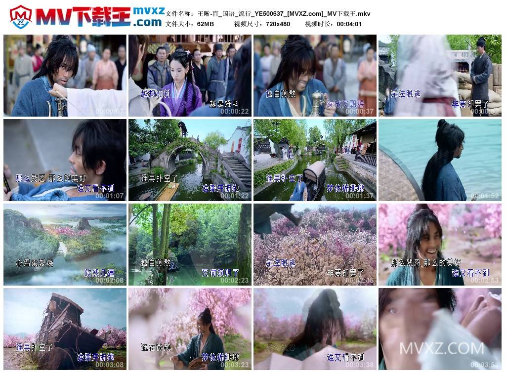 王晰-盲_国语_流行_YE500637
